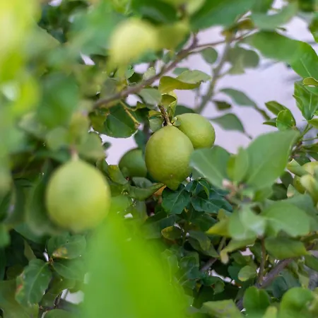 Appartamento Casa Giardinello Ribera